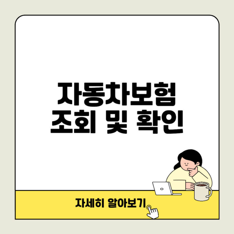 자동차보험 조회 및 확인